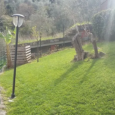 The Palm House Santa Margherita Ligure